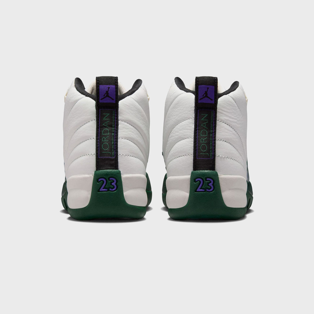 Heel view of Jordan GS Air Jordan 12 Retro pair with Jumpman pull tab, purple 23 numbering, and green heel counter