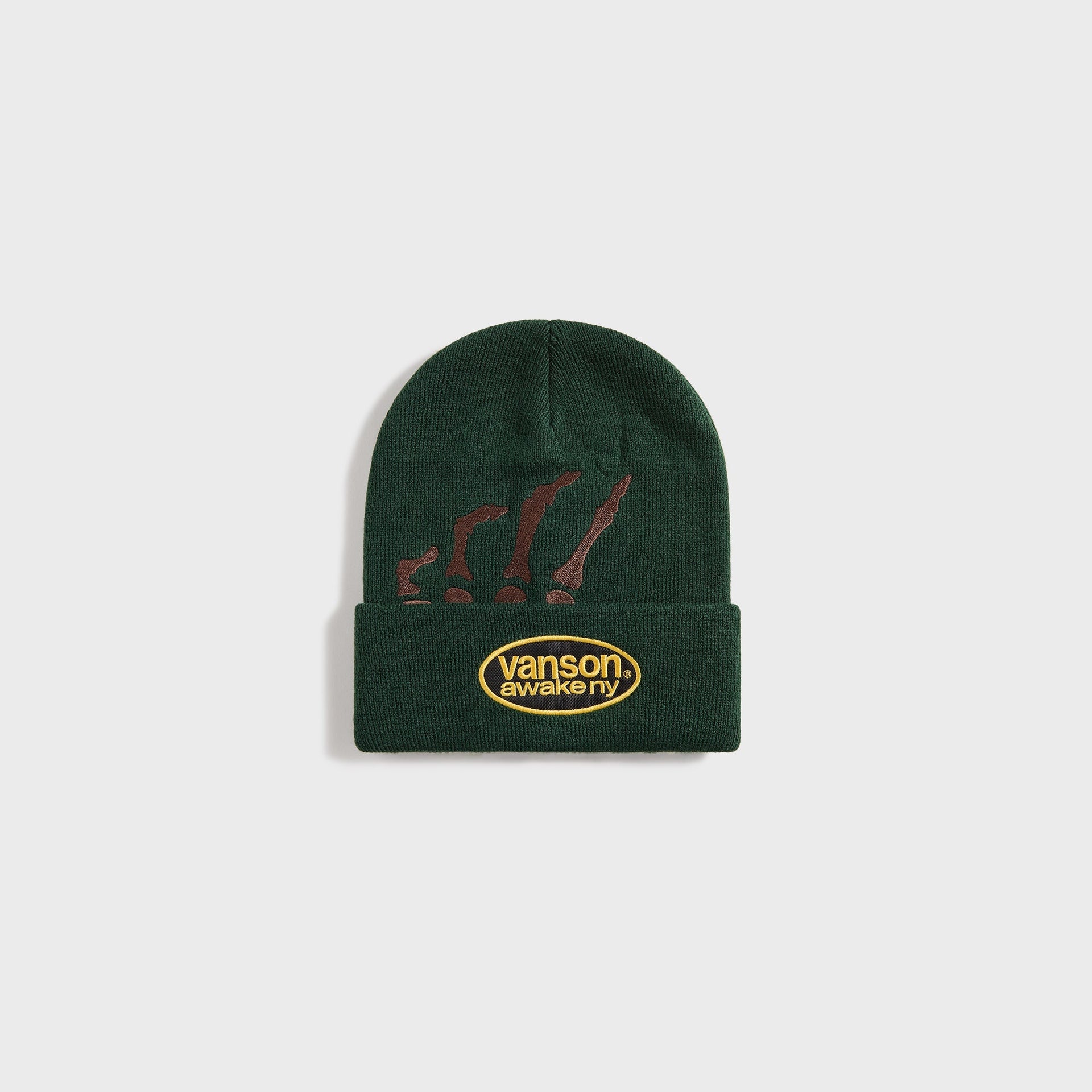 Awake NY Vanson Bones Beanie - Green