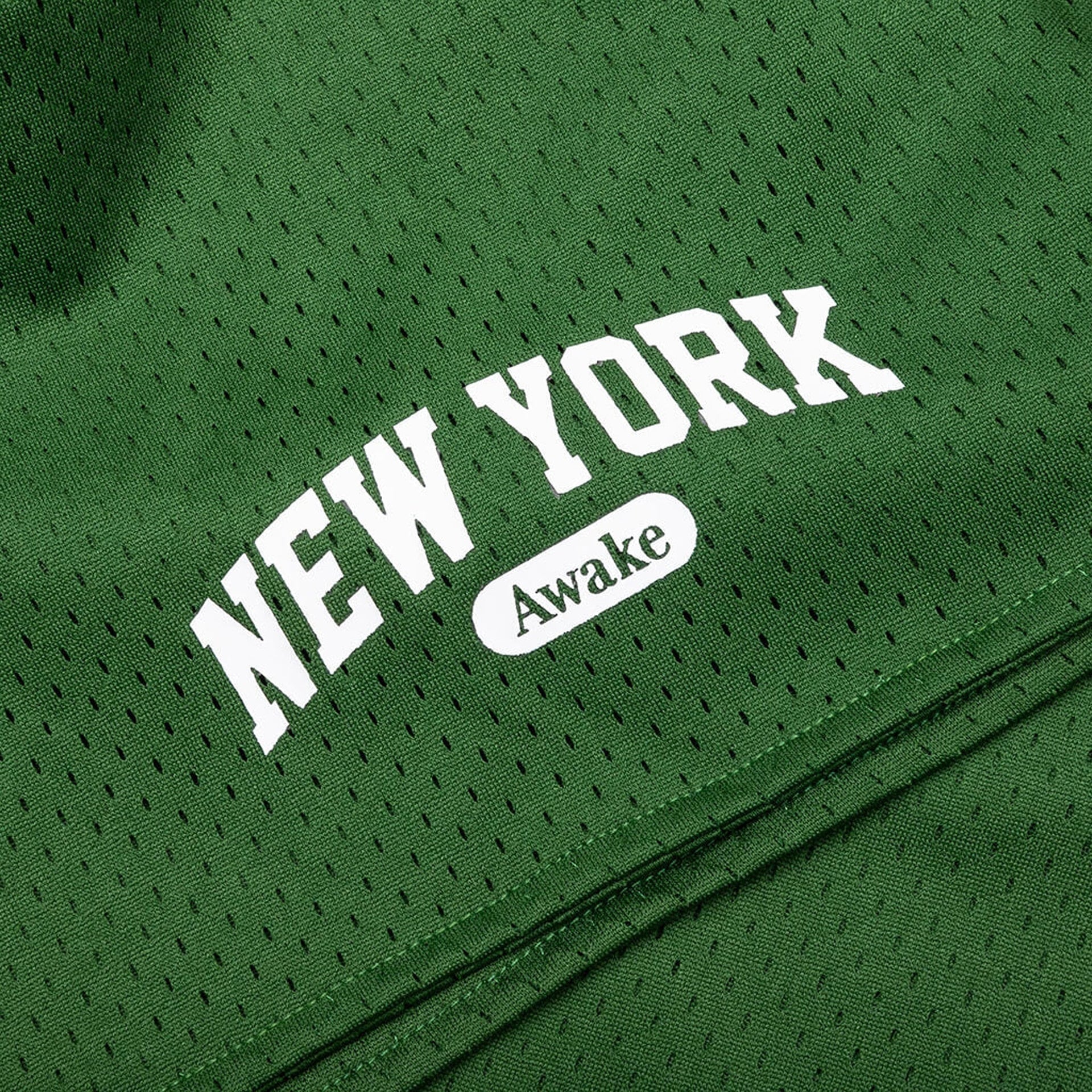 Awake NY Archway Basketball Short - Green