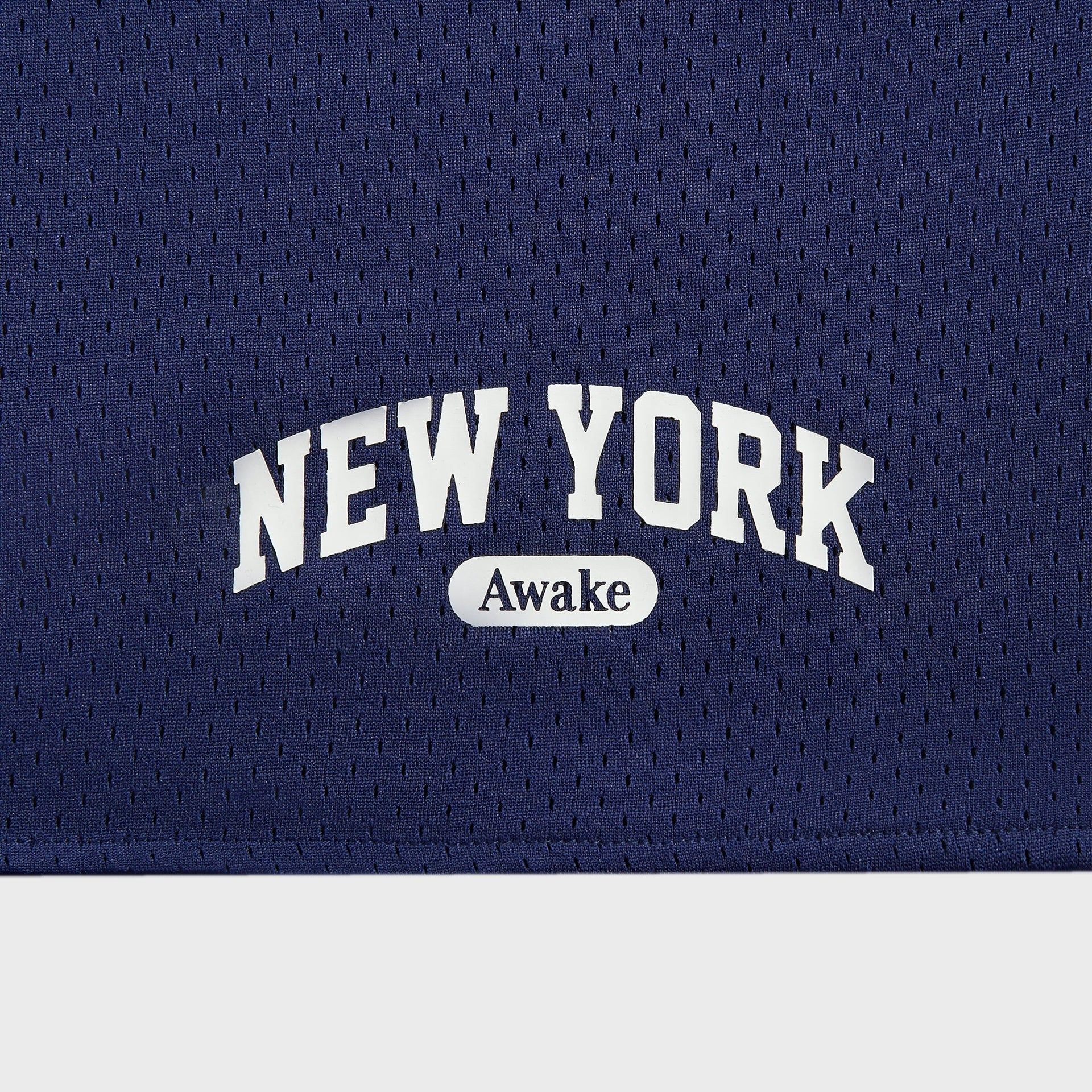 Awake NY Archway Basketball Shorts in Navy