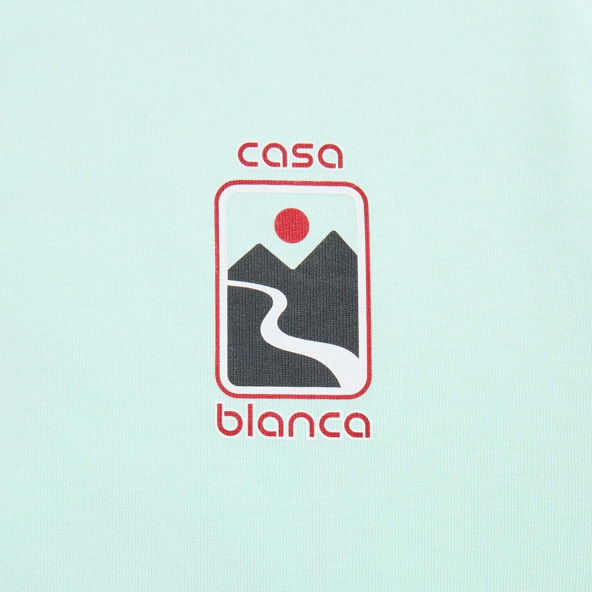 Casablanca Sunset Valley Screen Printed Oversized Tee in Mint