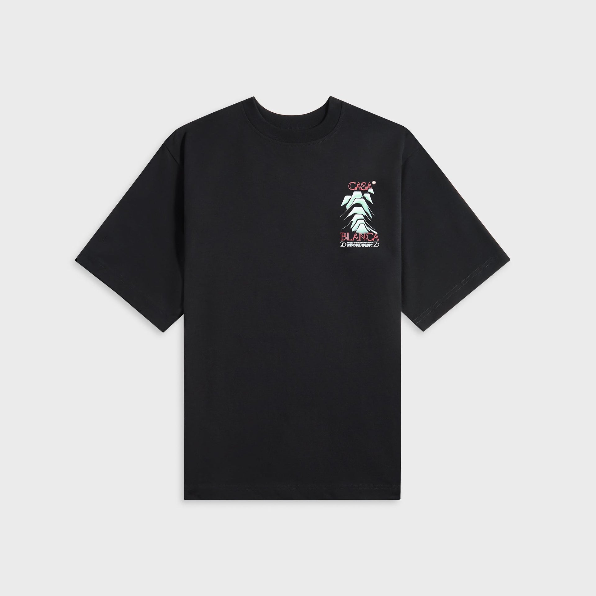 Casablanca Frosty Mountain Screen Printed Oversized Tee in Black