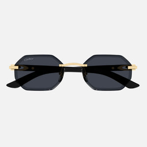 Cartier Ct0439S-002 L Sunglass Man Wood - Gold / Green