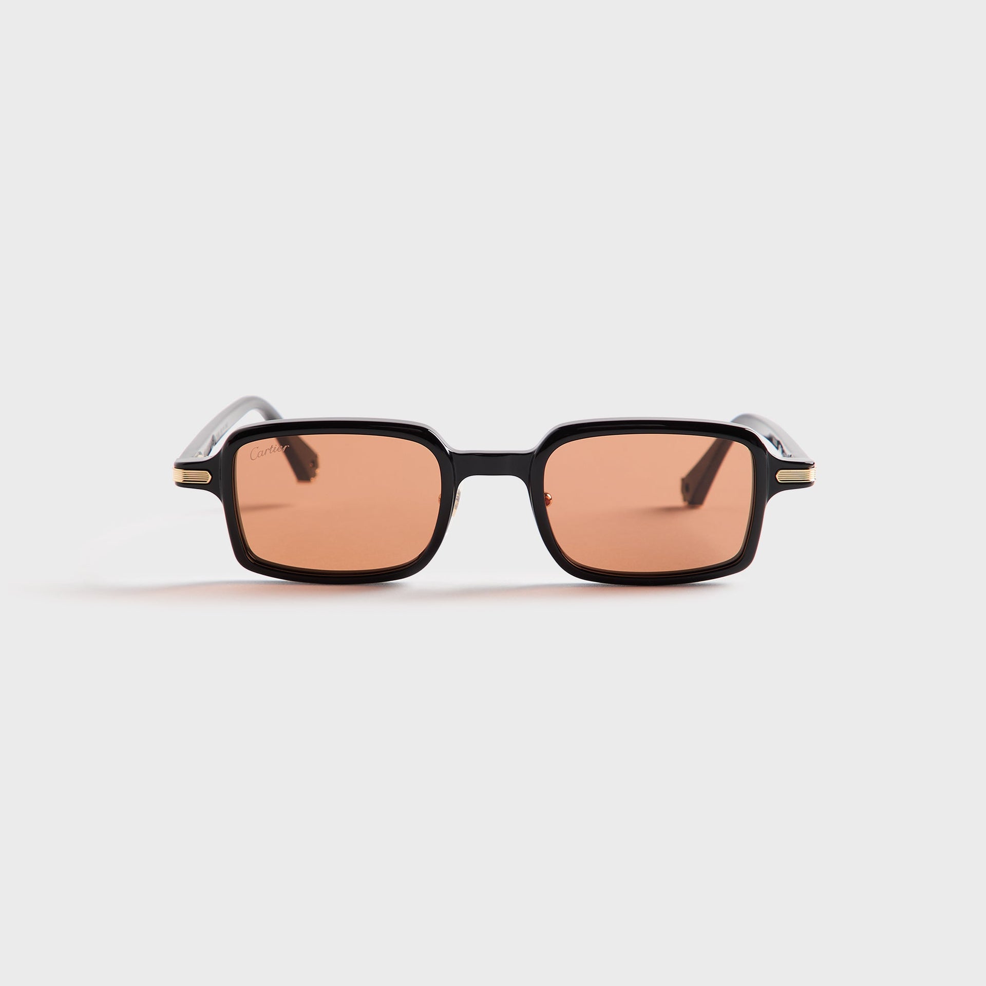 Cartier CT0539Sin003 in Black / Amber
