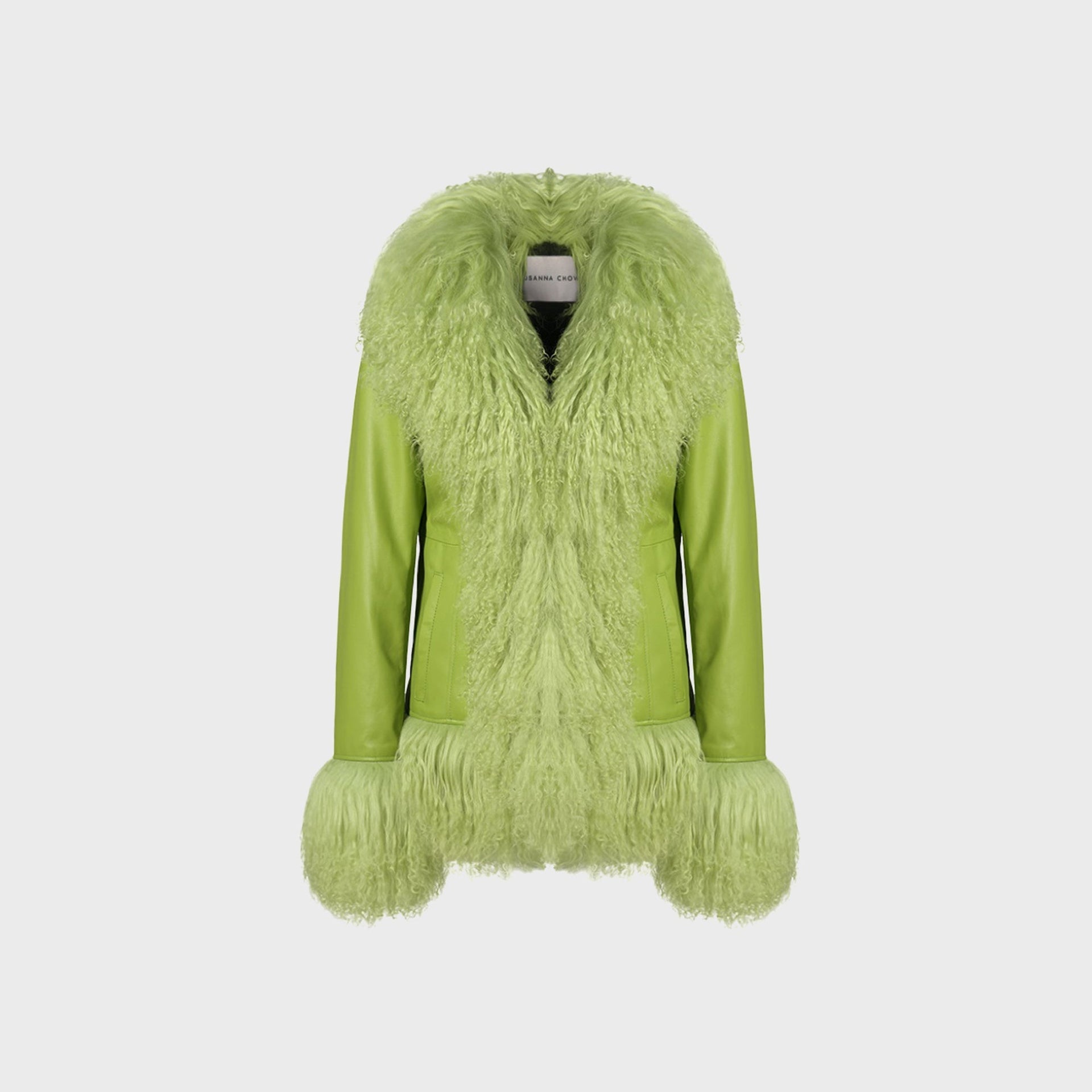 Susanna Chow Dorothy Leather Coat - Pistachio