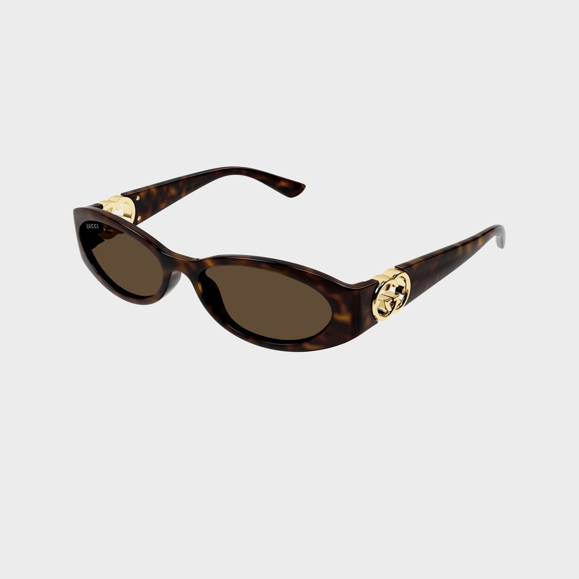 Gucci Eyewear GG1660Sin002 54 Sunglass in Havana / Brown