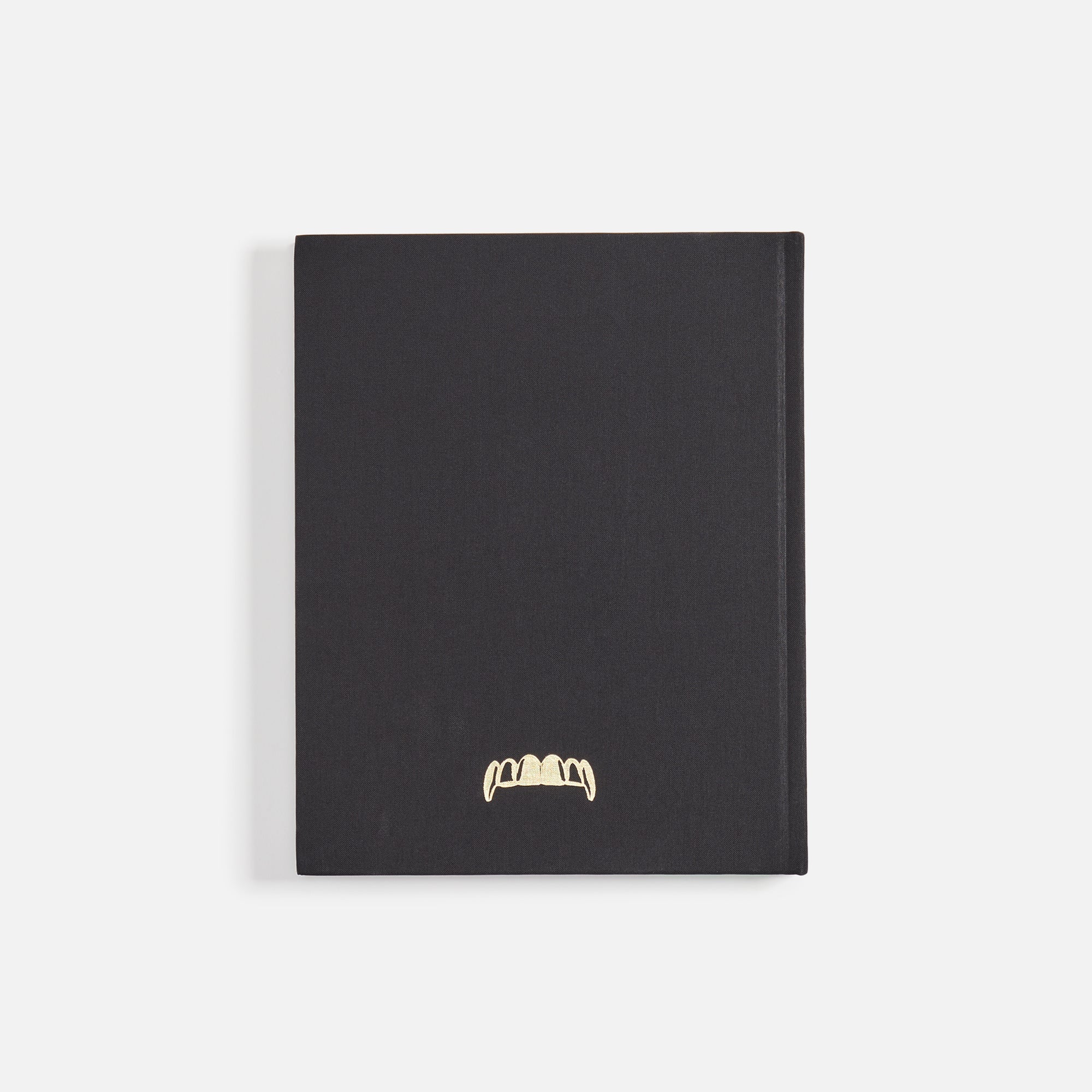 アート・デザイン・音楽 IDEA Books ''MOUTH FULL OF GOLDS'' IDEA Book Mouth Full Of Golds
