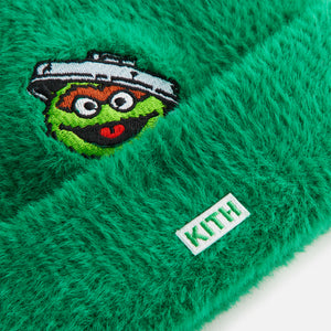 UrlfreezeShops Baby for Sesame Street Grouch Mia Beanie - Reptile