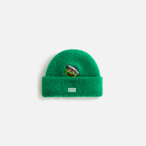 UrlfreezeShops Baby for Sesame Street Grouch Mia Beanie - Reptile