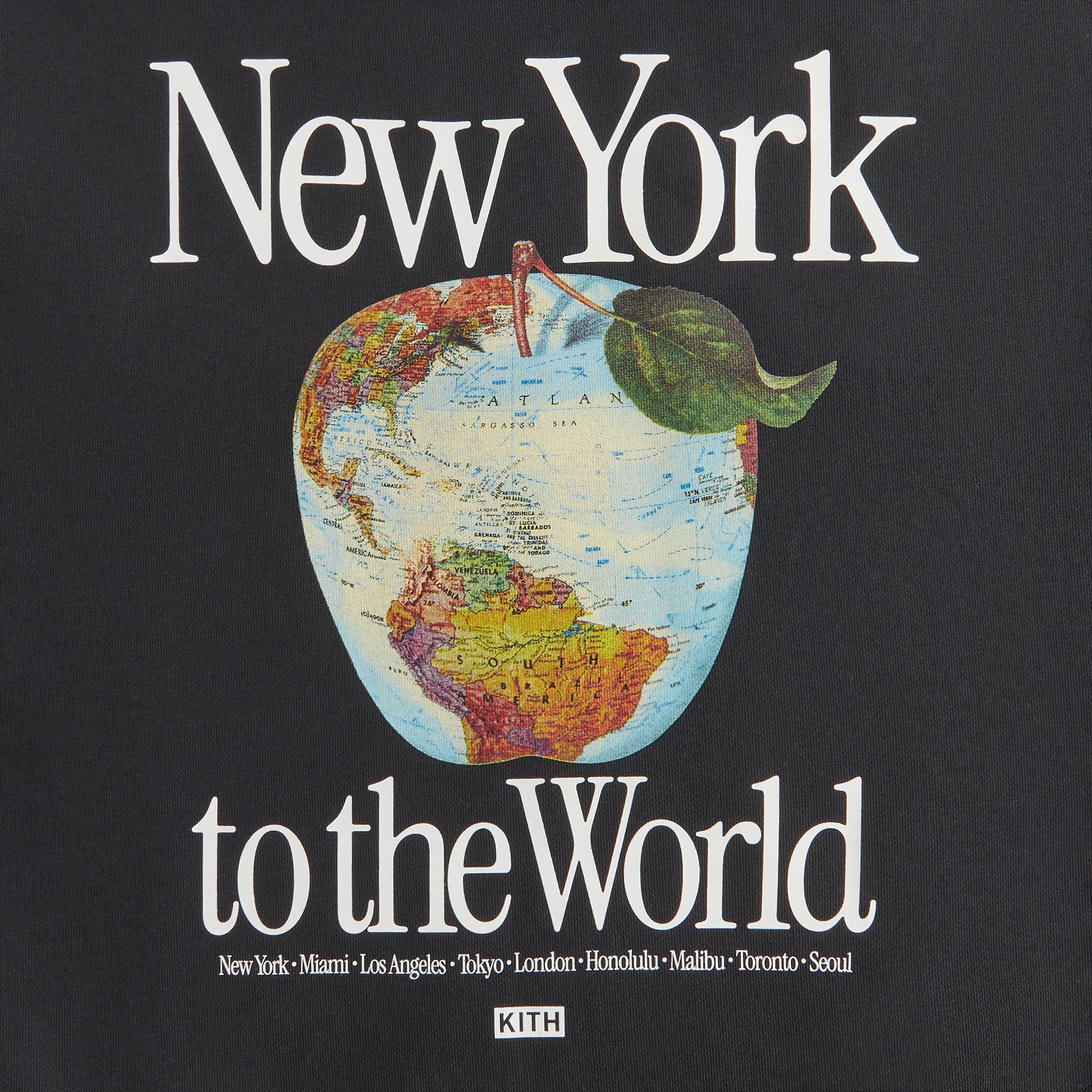 Kith Kids New York to the World Apple Globe Hoodie - Black Kith Kids New York to the World Apple Globe Hoodie - Black