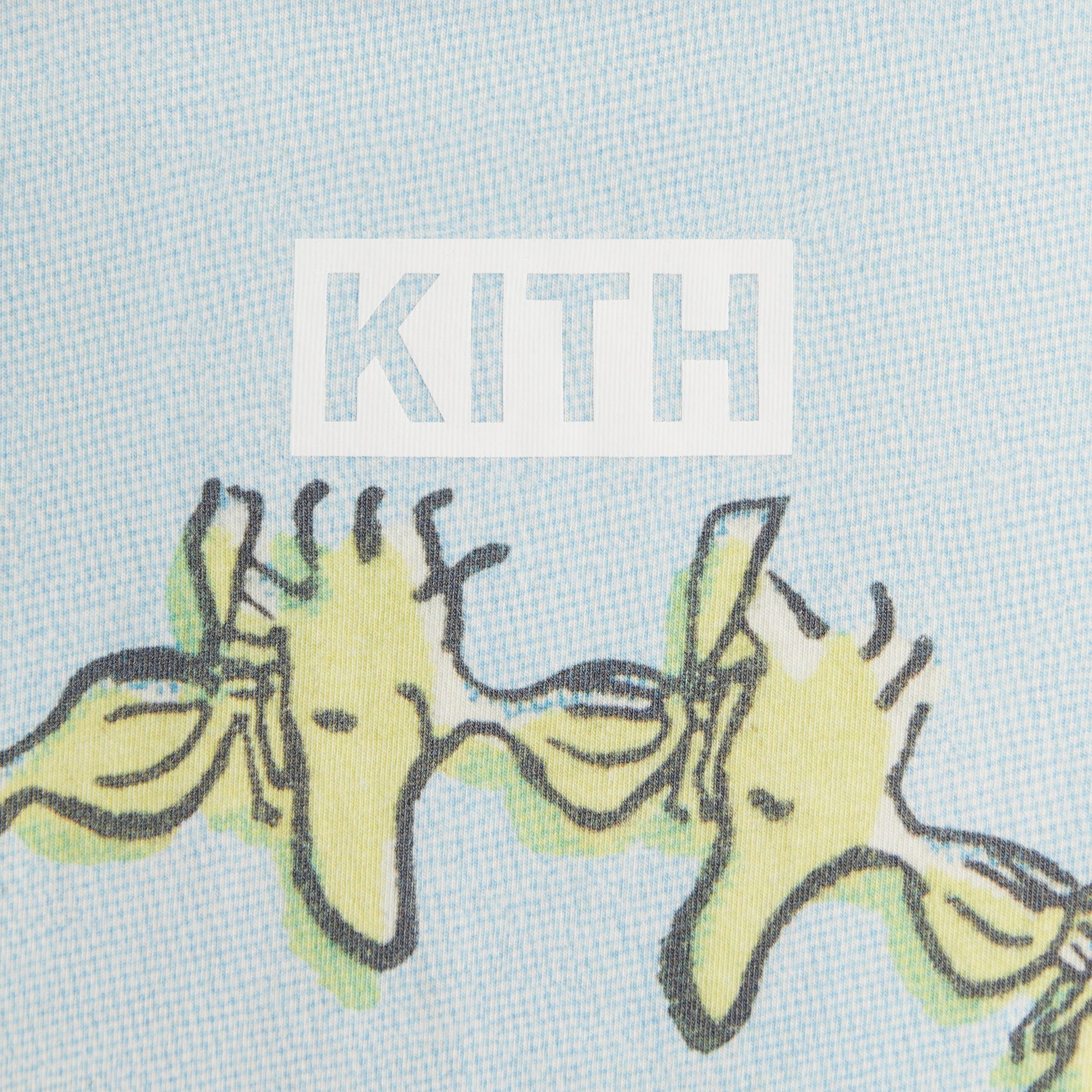 Kith Kids for Peanuts Woodstock Doghouse Vintage Tee - Glisten