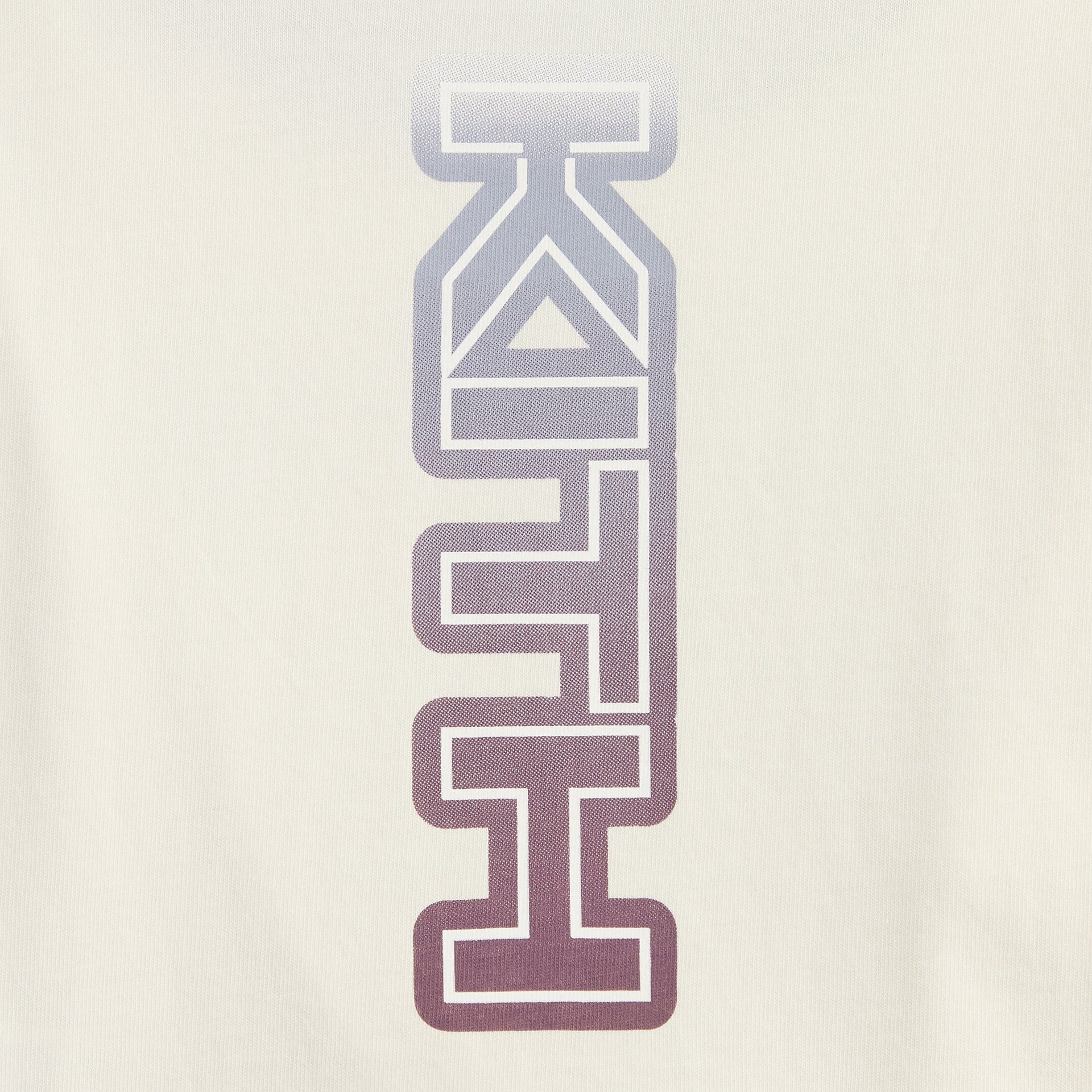 Kith Kids Gradient Cropped Jasper Tee - Silk