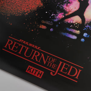 STAR WARS™ | Kith Darth Vader™ Poster - Multi