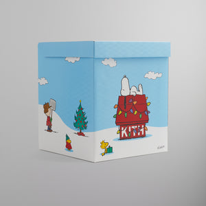 Kith Peanuts Snoopy Doghouse Tee 白 XLサイズメンズ