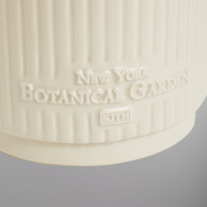 Kith for New York Botanical Garden Planter - Sandrift