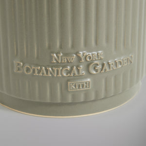 Kith for New York Botanical Garden Planter - Bronze Leaf