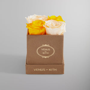 UrlfreezeShops for Venus et Fleur Le Petit - New York