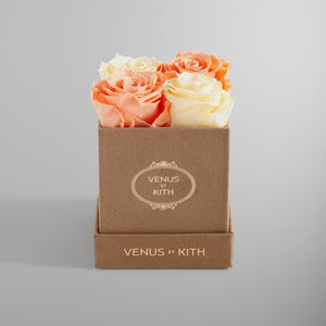 Kith for Venus et Fleur Le Petit - Miami