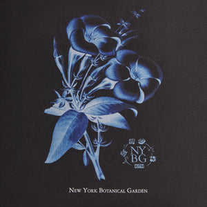 UrlfreezeShops for New York Botanical Garden Allamenda Vintage Tee - Black