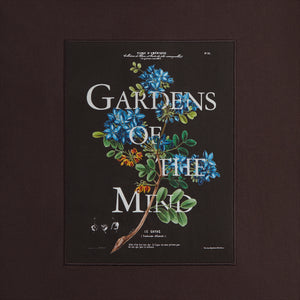 Kith for New York Botanical Garden Gayac Williams III Hoodie - Kindling