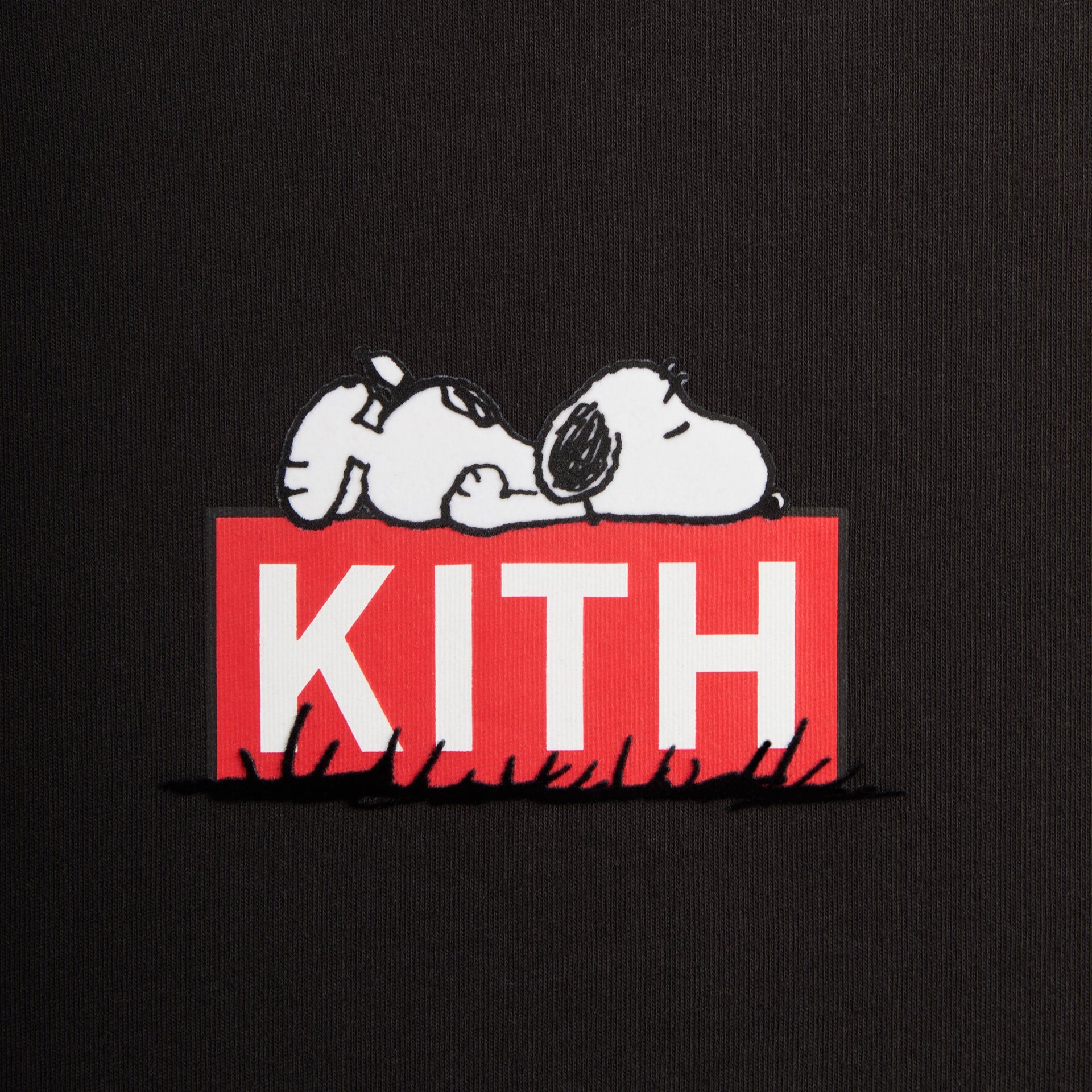 Kith for Peanuts Doghouse Classic Logo Tee - Black PH