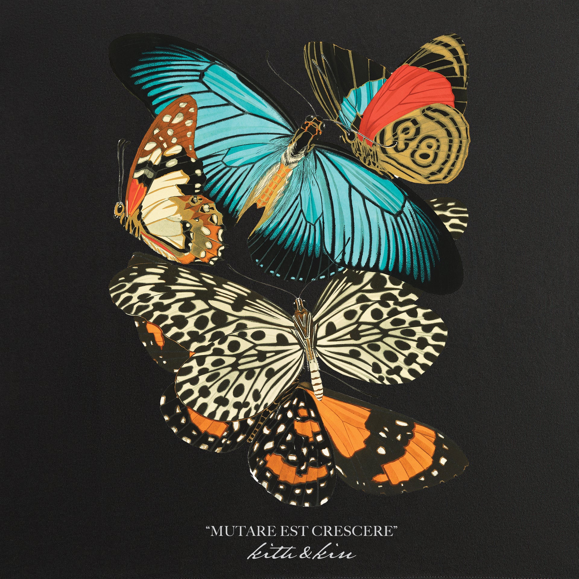 Kith Butterfly Vintage Tee - Black