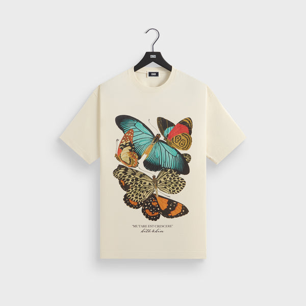 【KITH NYC】Butterfly Vintage Tシャツ 国内発送 KITH NYC】Butterfly Vintage Tシャツ 国内発送 (KITH NYC/T