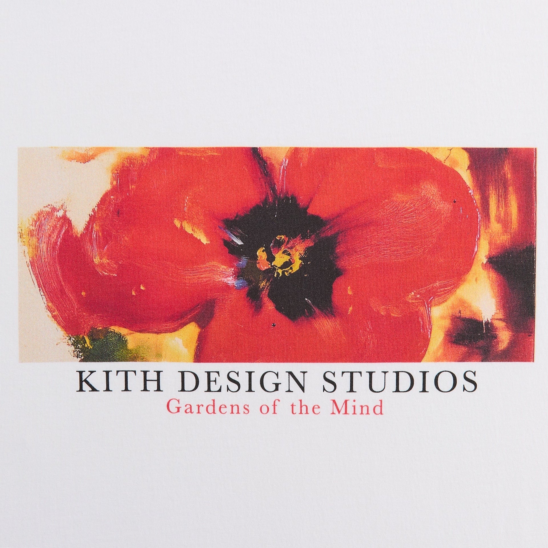 Kith Gardens of The Mind Vintage Tee - White - PH - PH