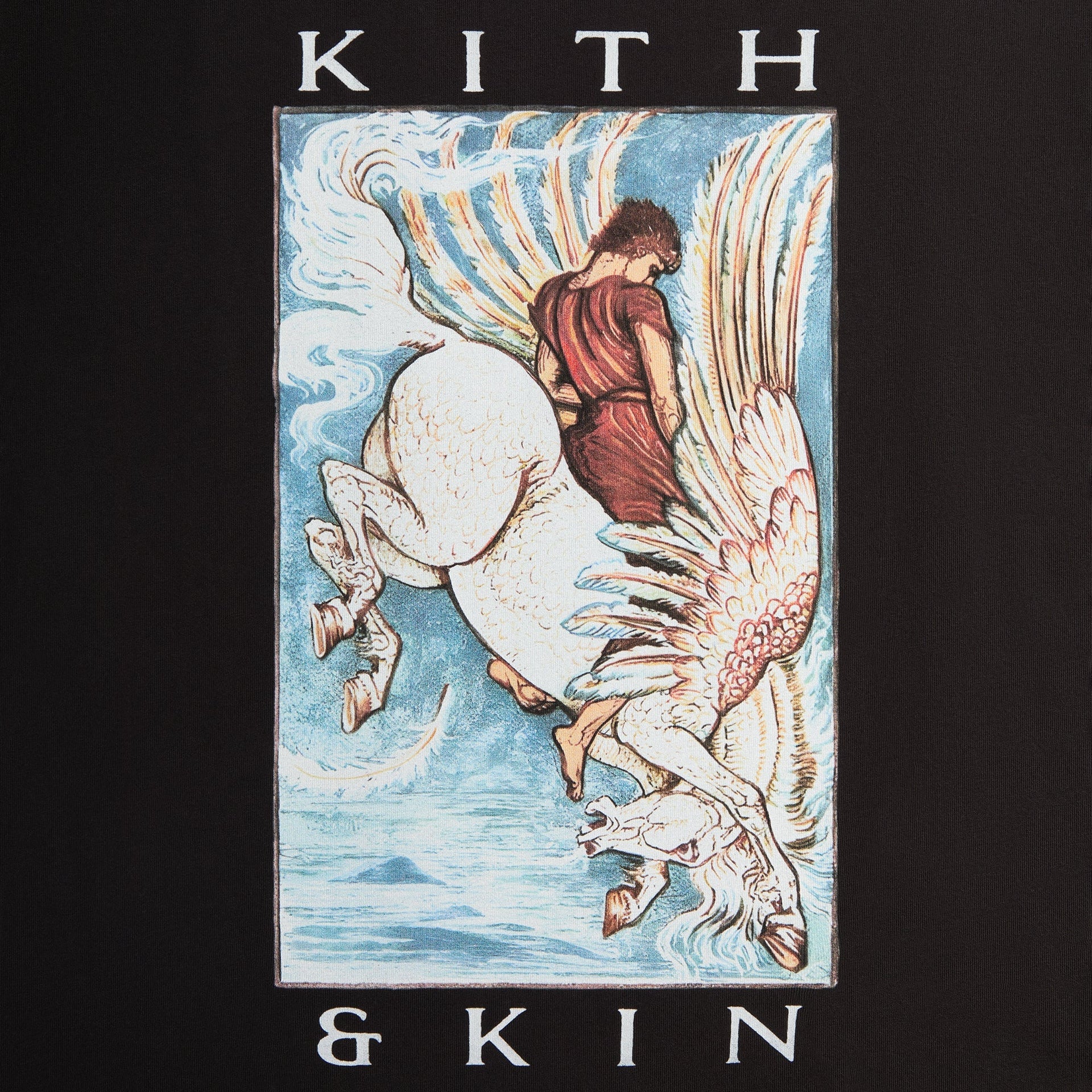 Kith & Kin Pegasus Tee  - Black - PH