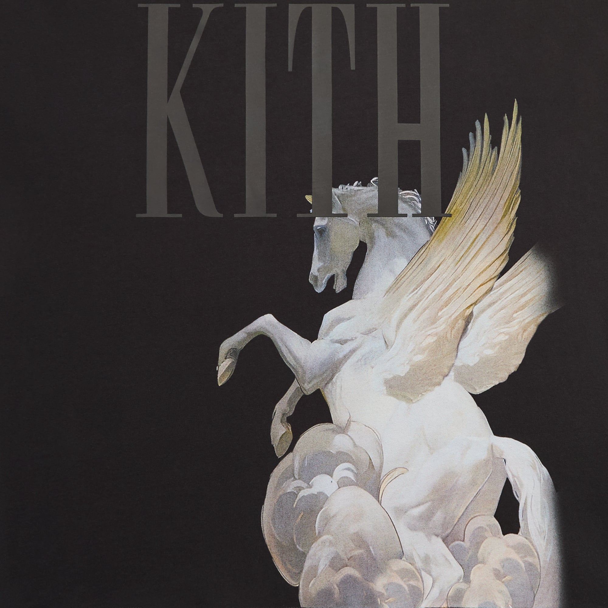 値下げしました☆KITH Pegasus Graphic Tシャツ ブラック Kith Pegasus Vintage Tee - Black