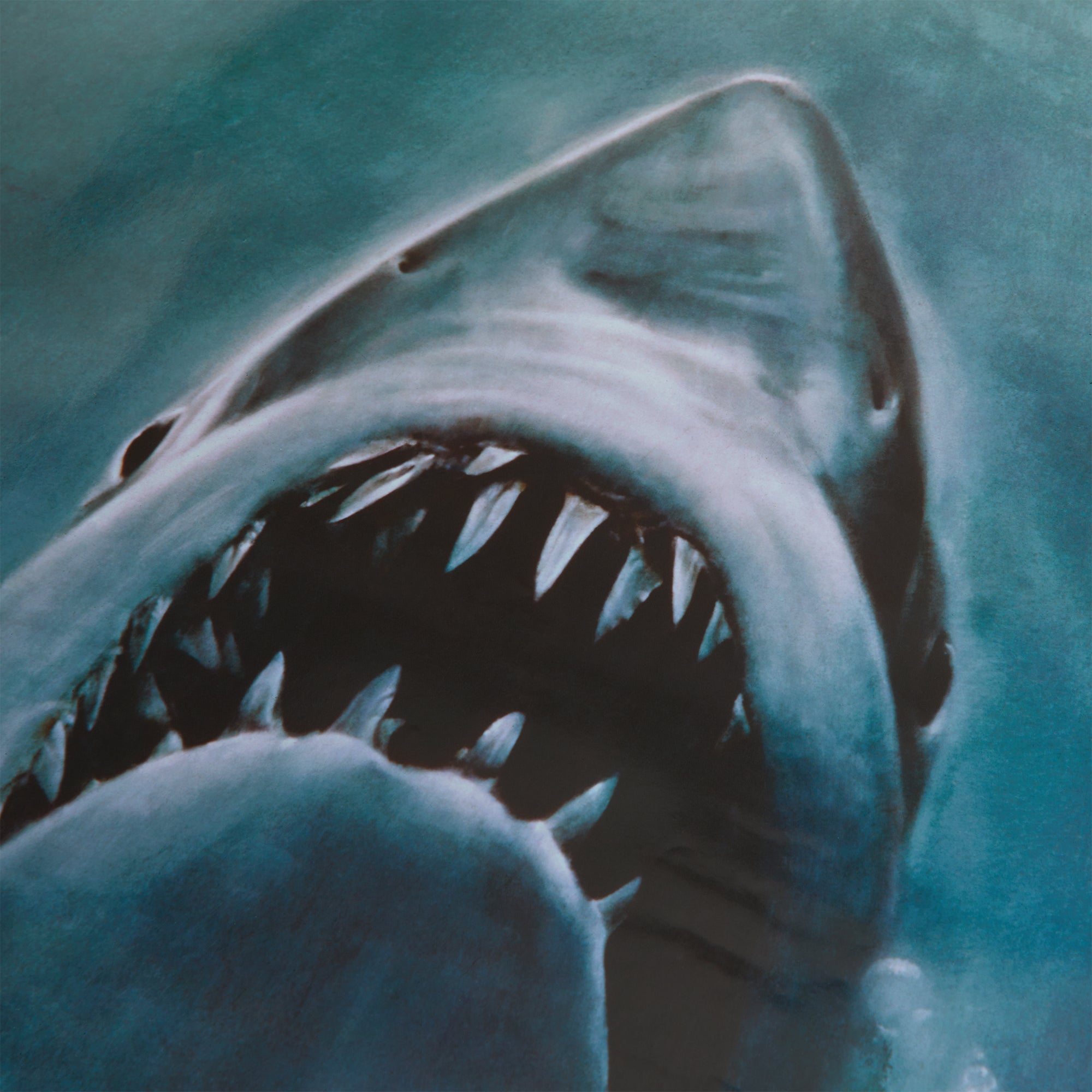 JAWS × KITH ポスター ジョーズ KHM150194-906-Front.jpg?v=