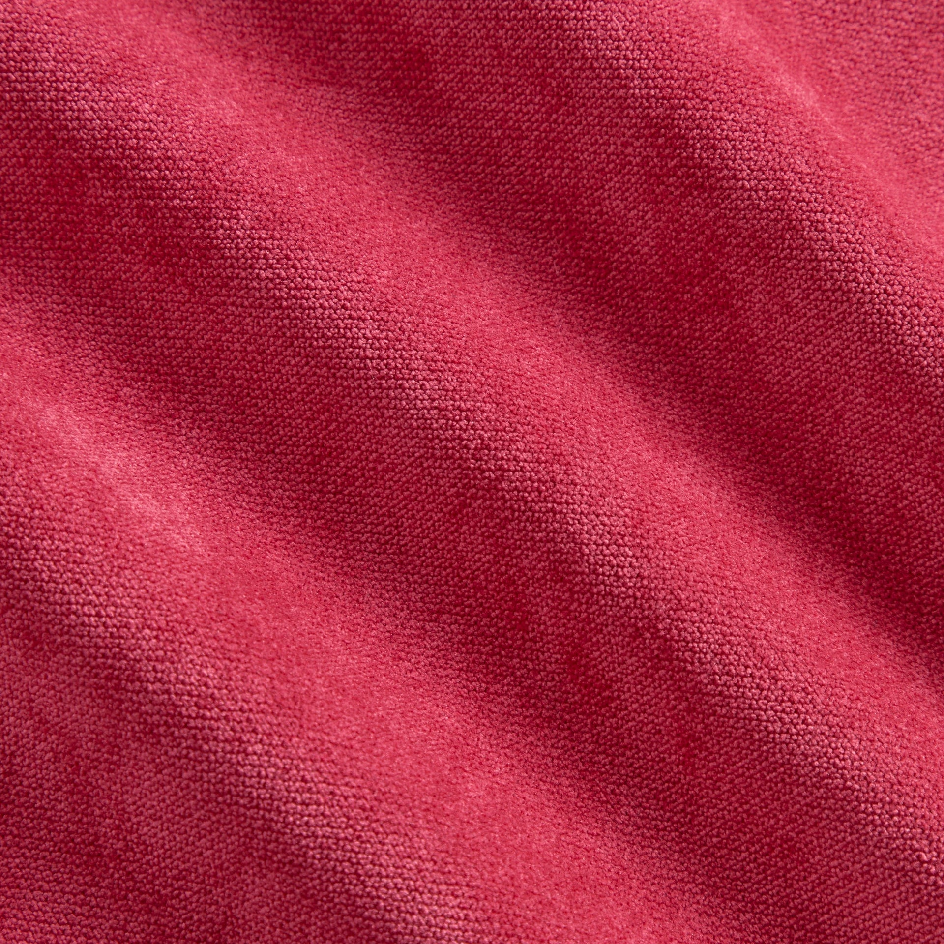 Kith & the NFL for the Tampa Bay Buccaneers Leon Shirt - Fame