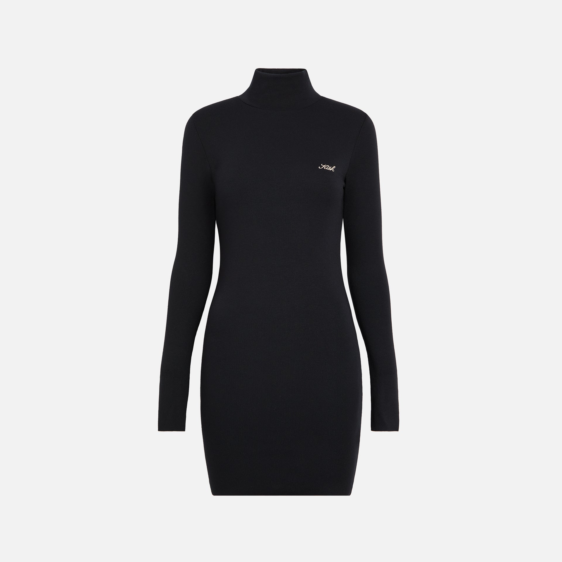UrlfreezeShops Women Brier Turtleneck Mini Dress - Black