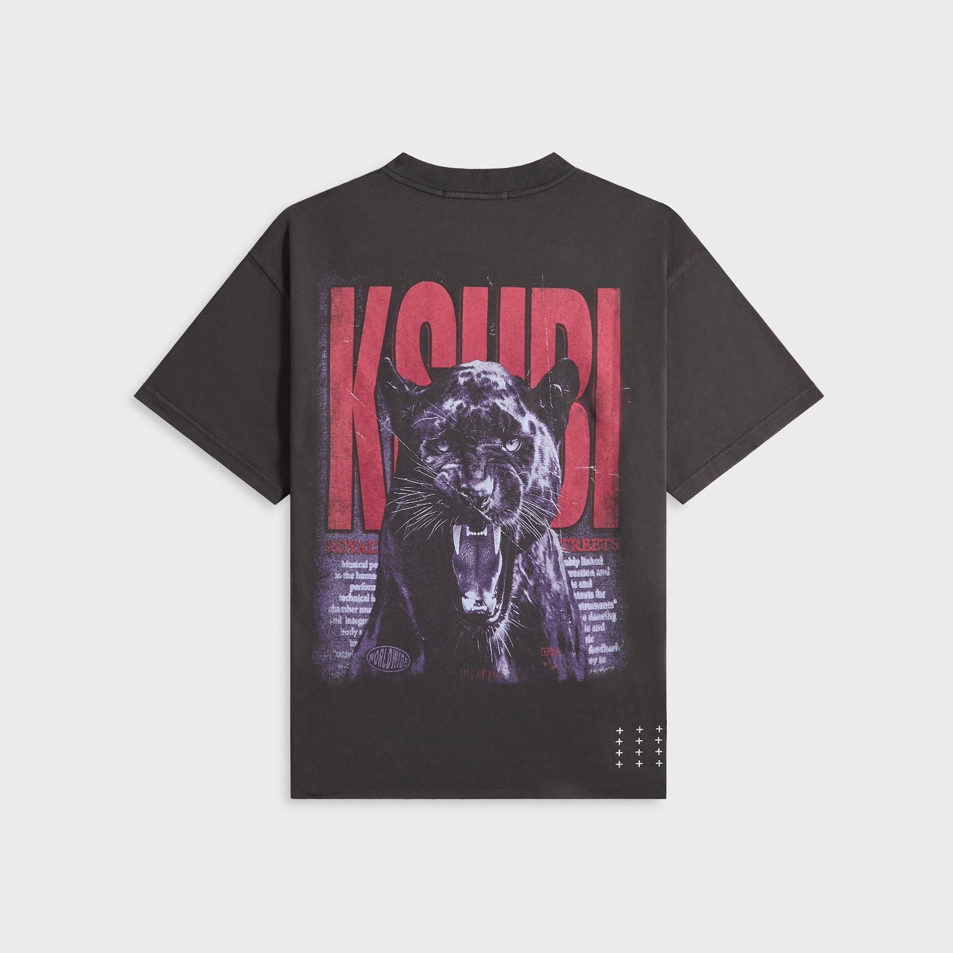 Ksubi Panthera Ekcess Short Sleeve Tee - Faded Black
