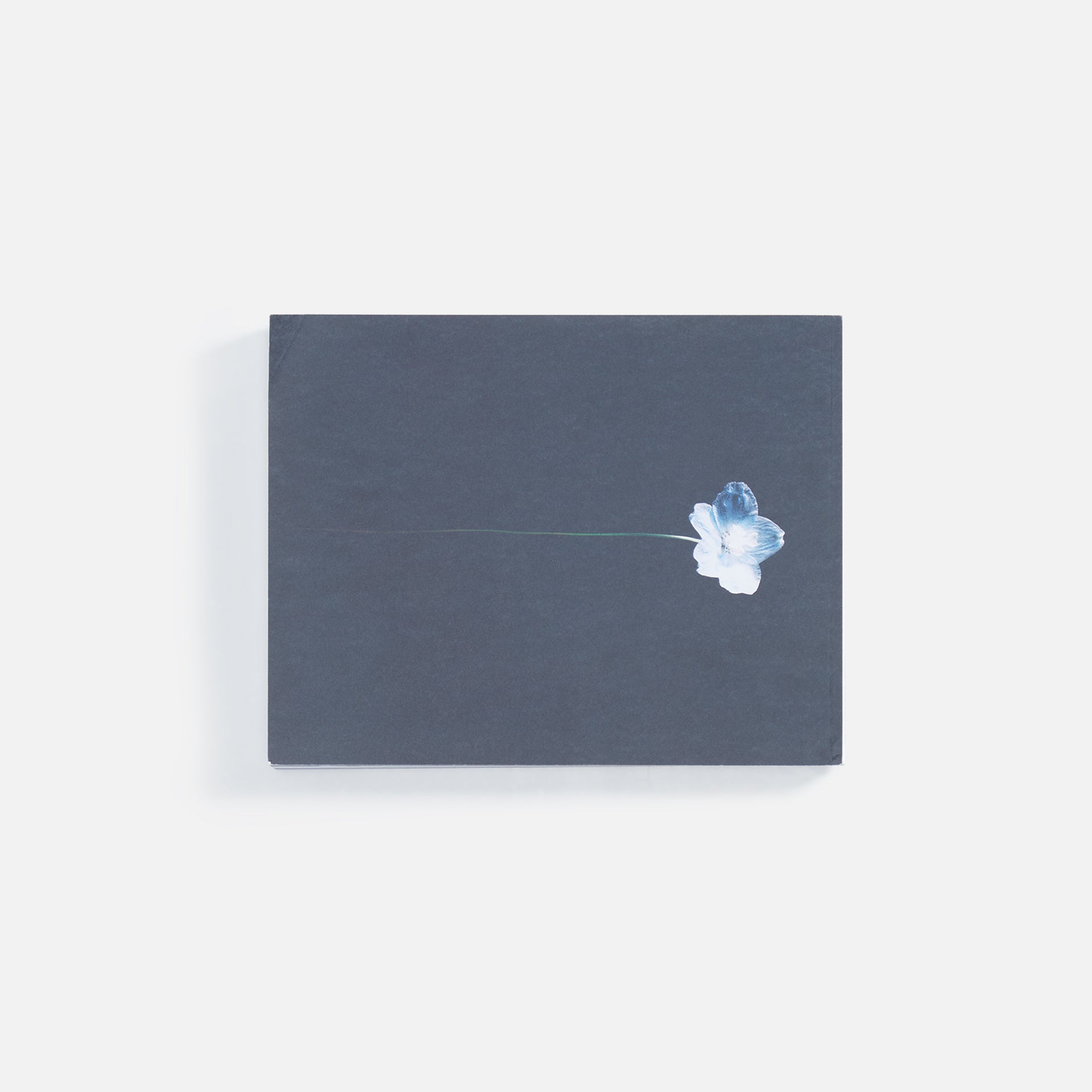 WhiteCirc Le Mile Issue 35 - Autumn / Winter 2023