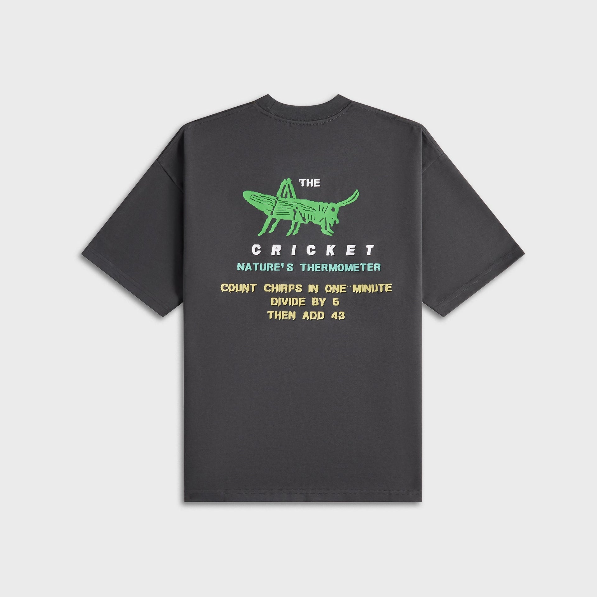 Metalwood Cricket Heavy Pocket Tee - Tar