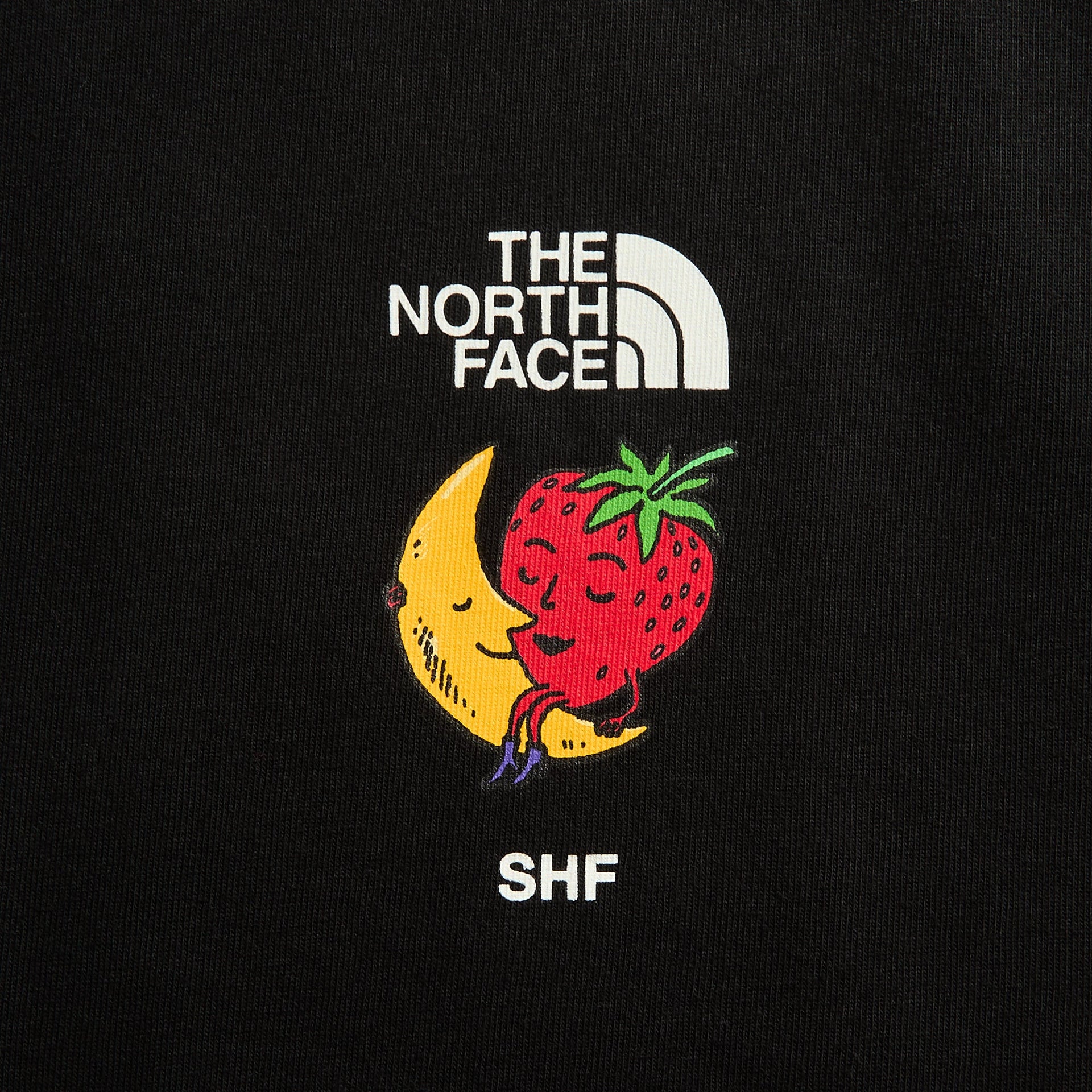 The North Face x Sky High Farms Tee - Black