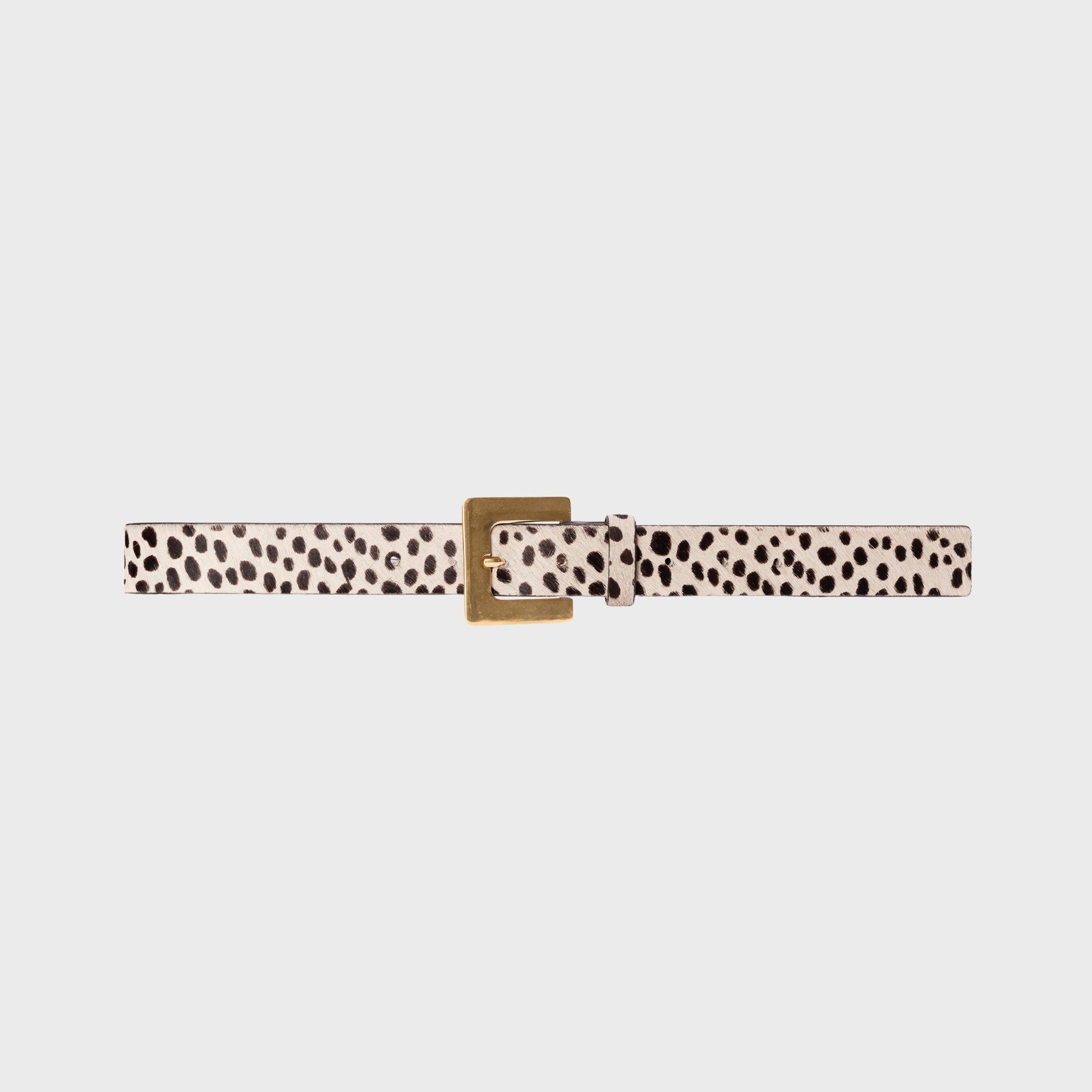 Black Suede Studio Noir Belt - Dotted Cheetah Pony Hair / Gold