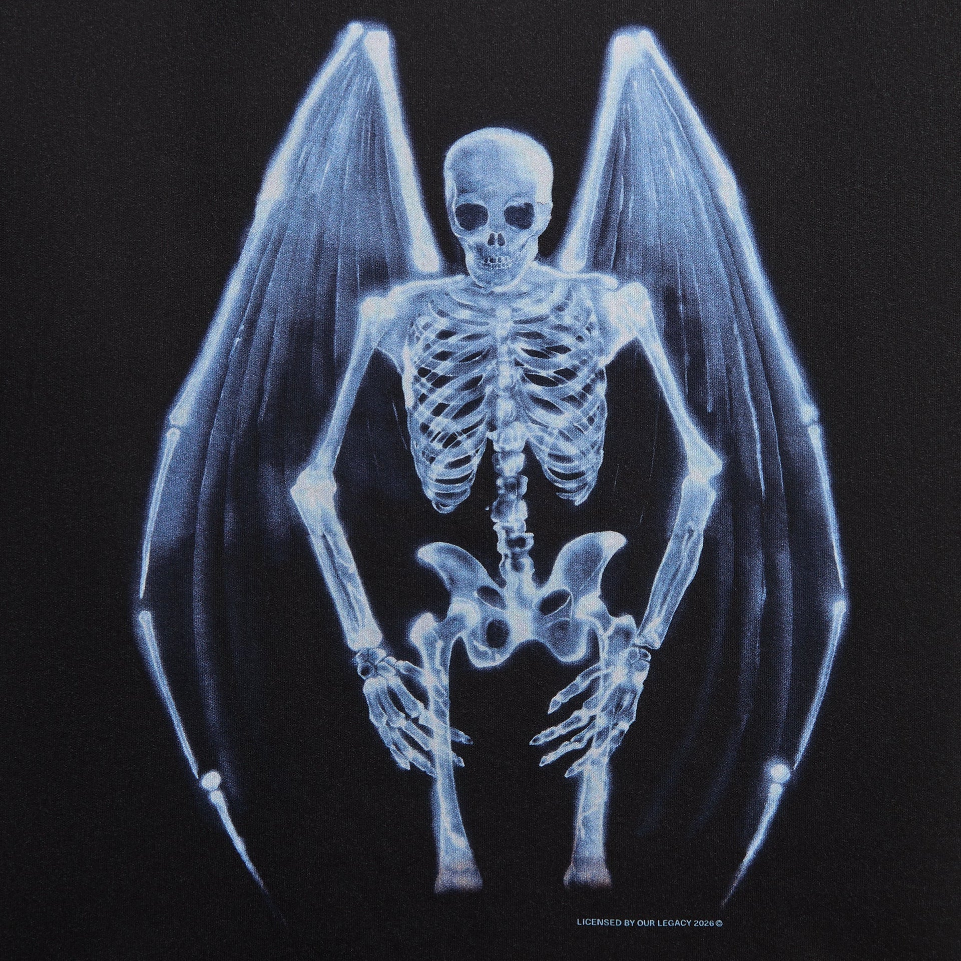 Our Legacy New Box Tee - Fallen Angel Print