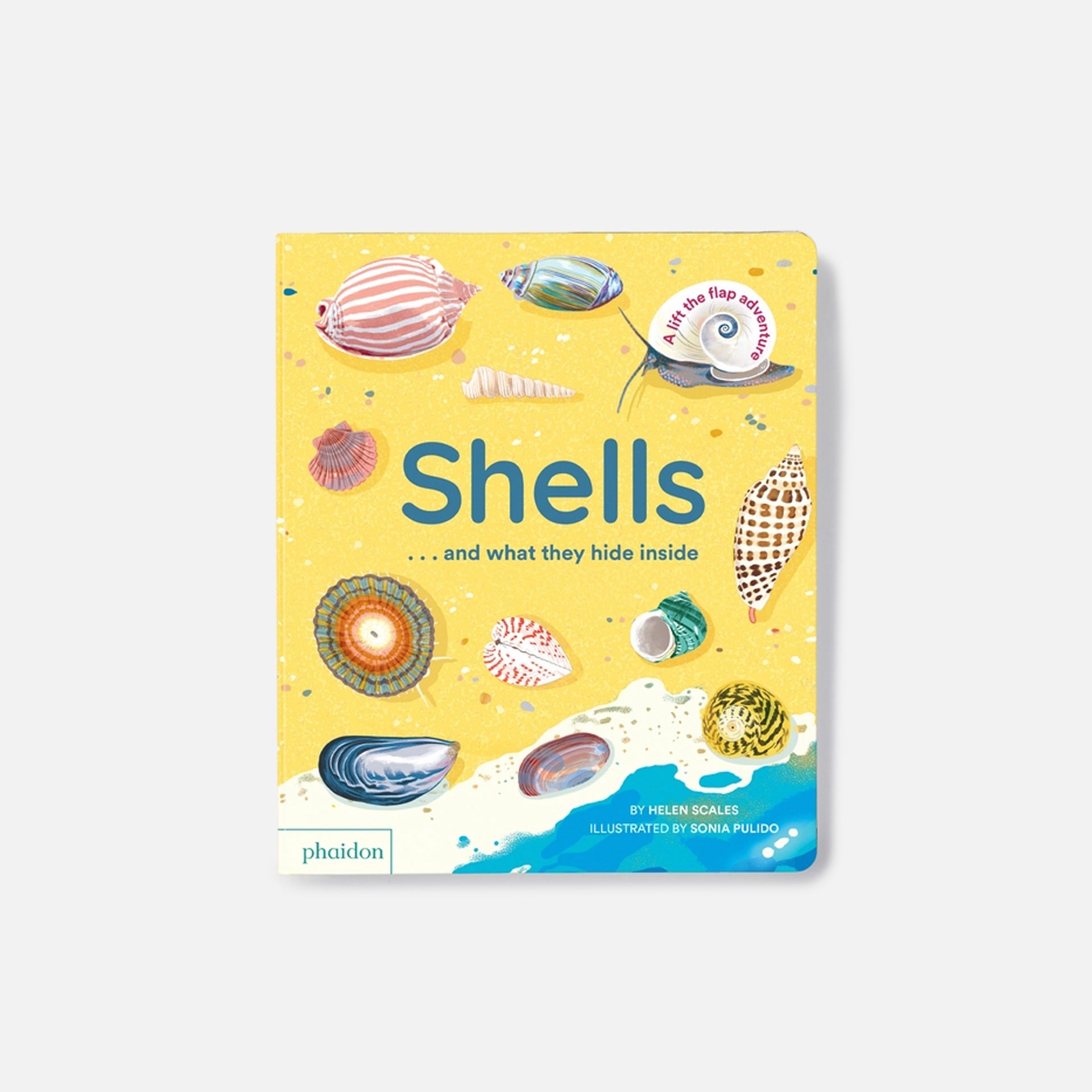 PHAIDON Shells and What They Hide Inside