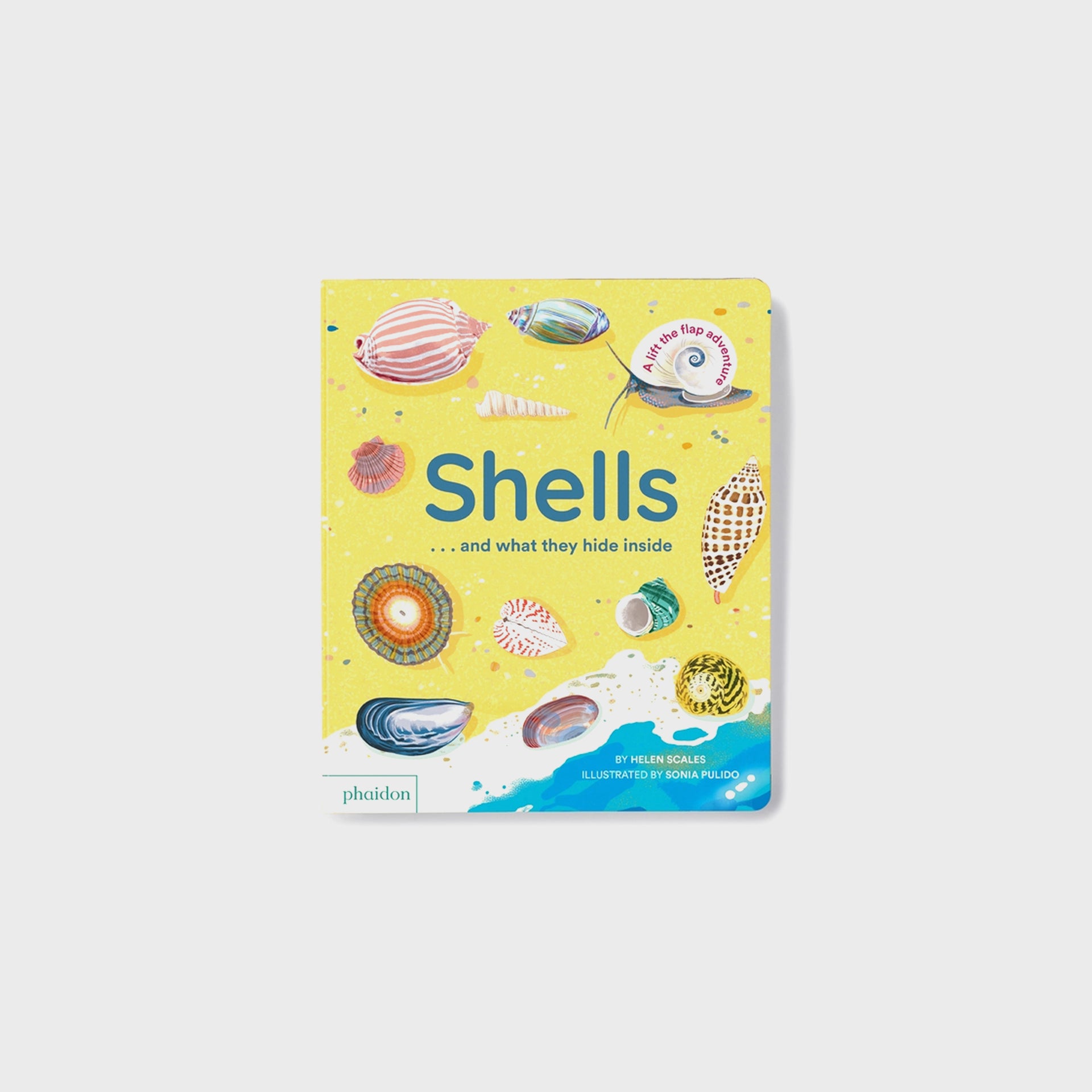 PHAIDON Shells and What They Hide Inside