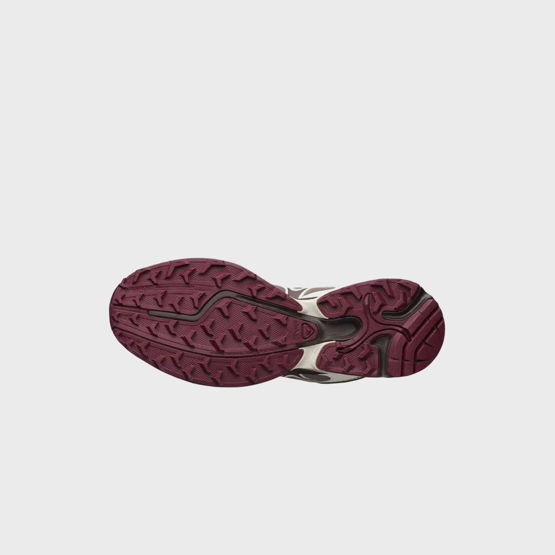 Salomon XT-WHISPER - Walnut / Bitter Chocolate / Vanilla Ice