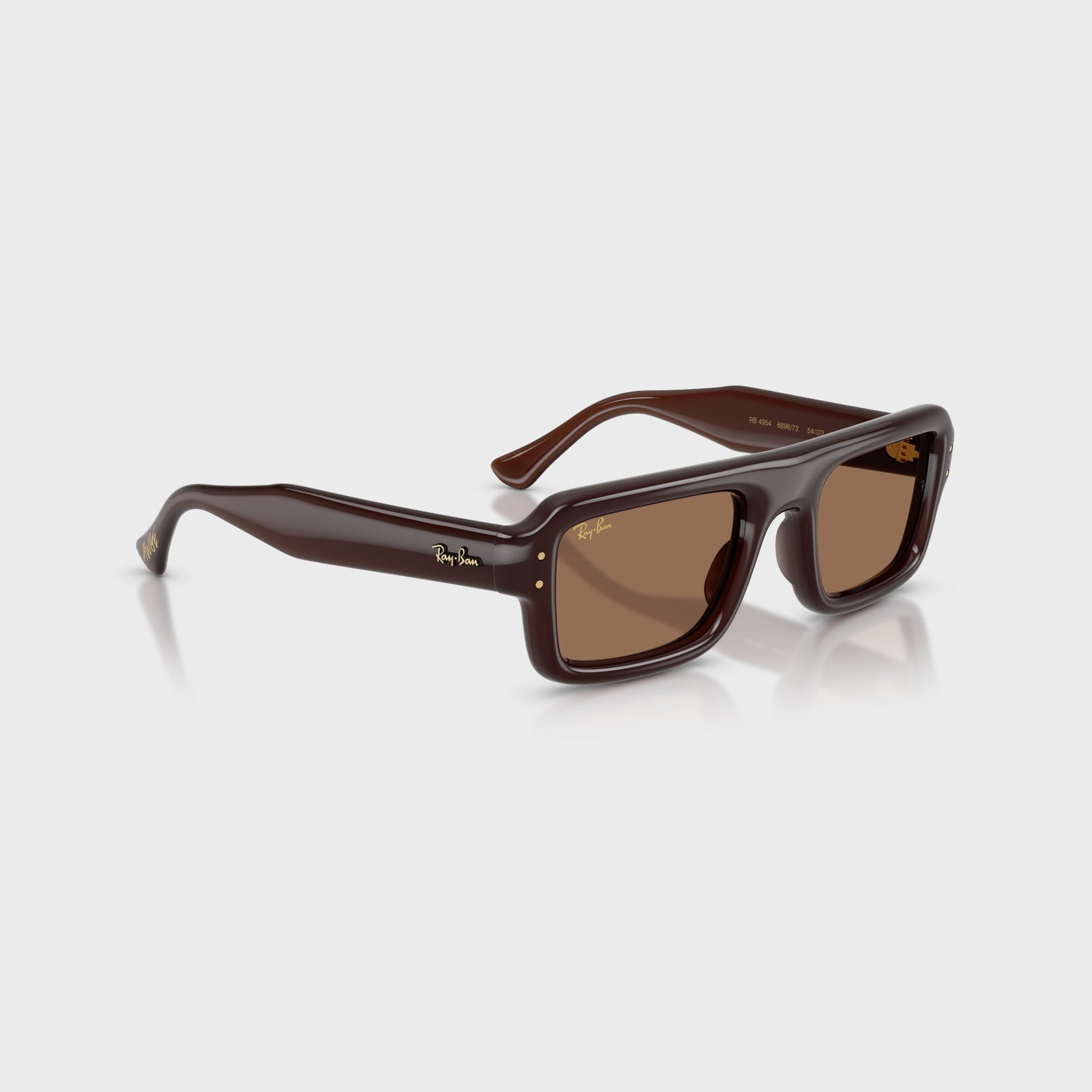 Ray Ban x A$AP Rocky Flacko Puffer Sunglasses - Transparent Brown Frame / Brown Lens