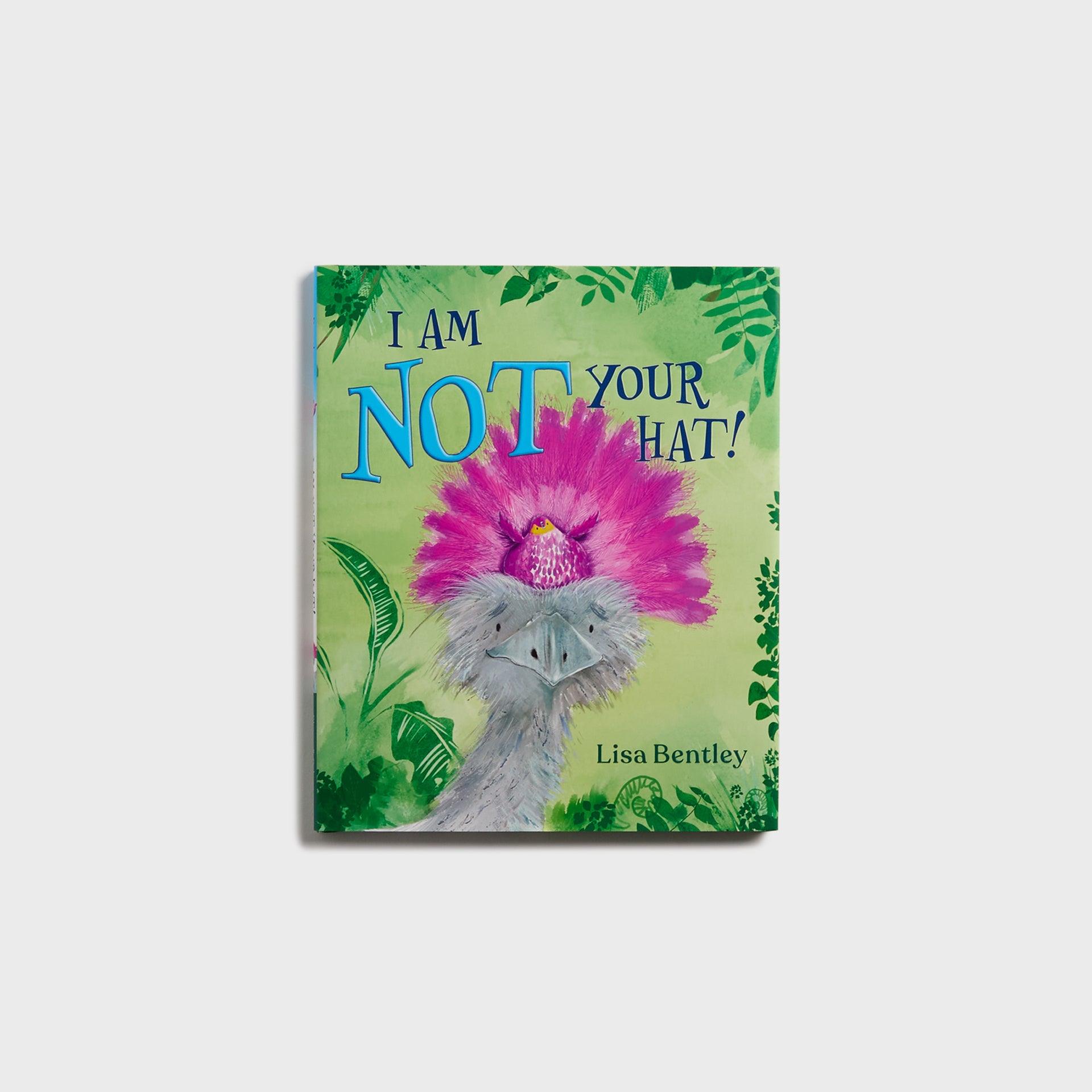 Simon & Schuster I Am Not Your Hat