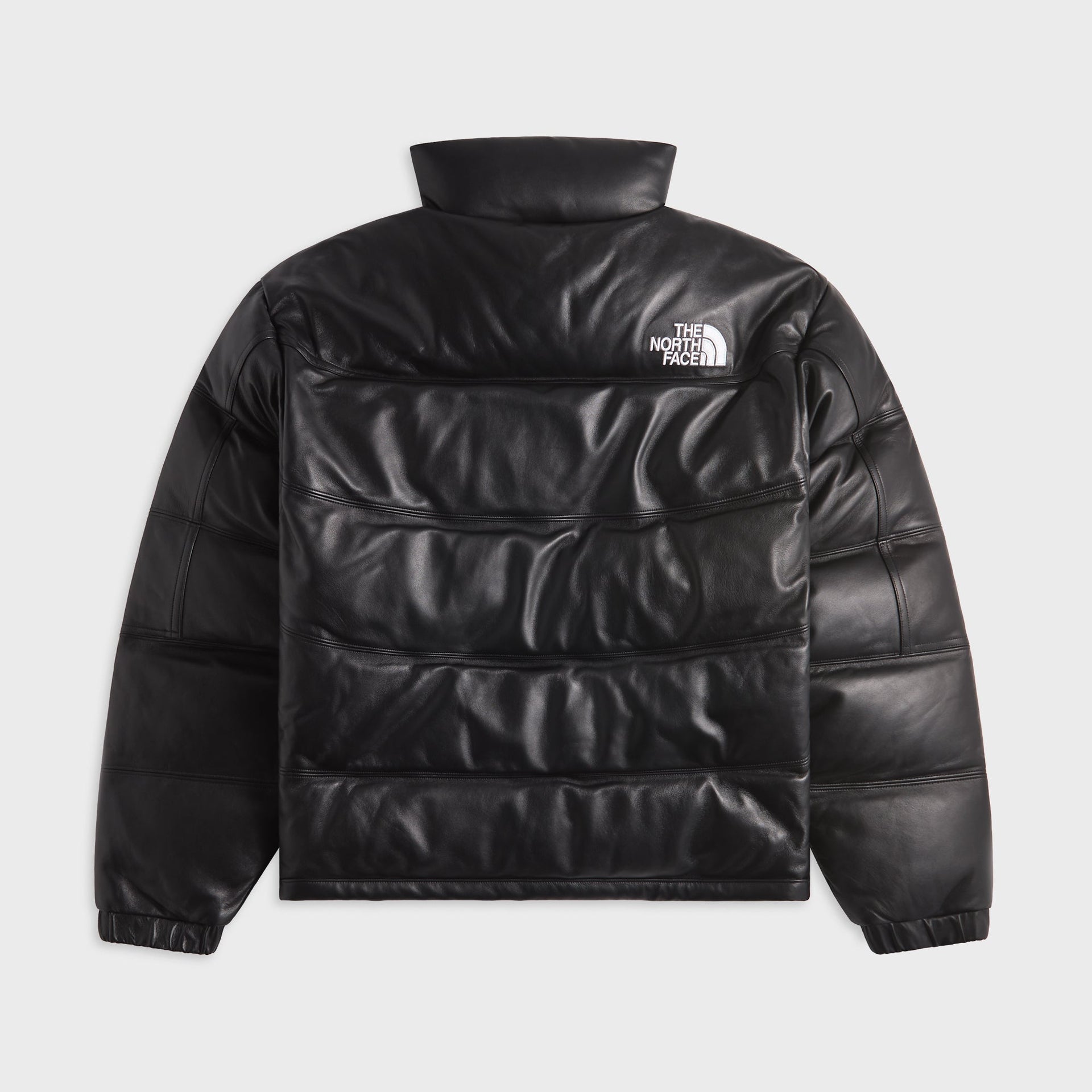 The North Face Leather Pack Summit Jacket - Black