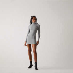 UrlfreezeShops Women Brier Turtleneck Mini Dress - Steel Heather Gray