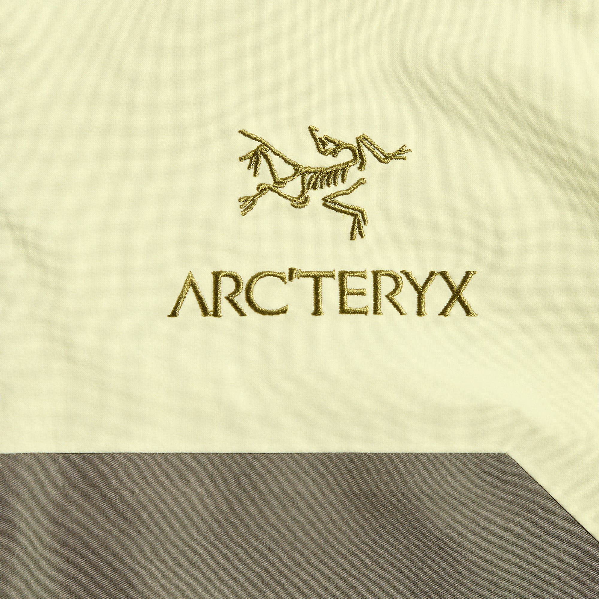 Arc'teryx Beta AR Jacket- Ray / Forage – Kith