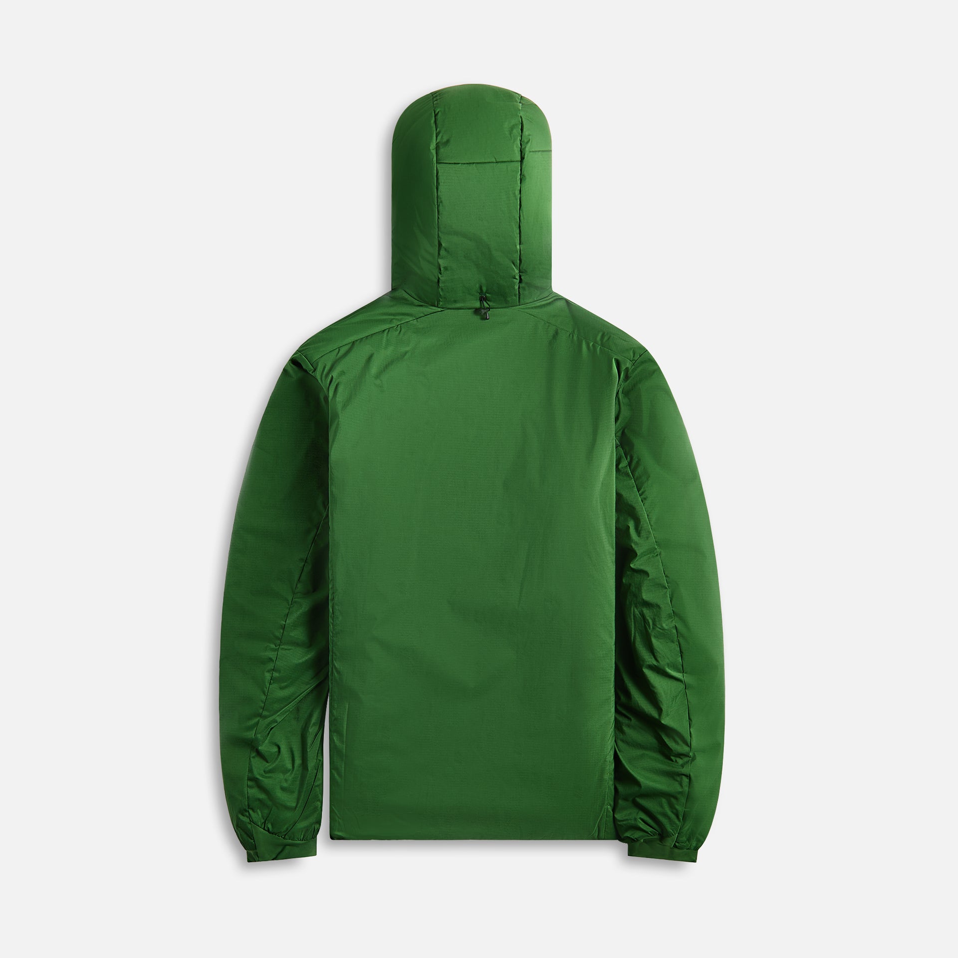 Arc'teryx Atom Heavyweight Hoodie - Eden