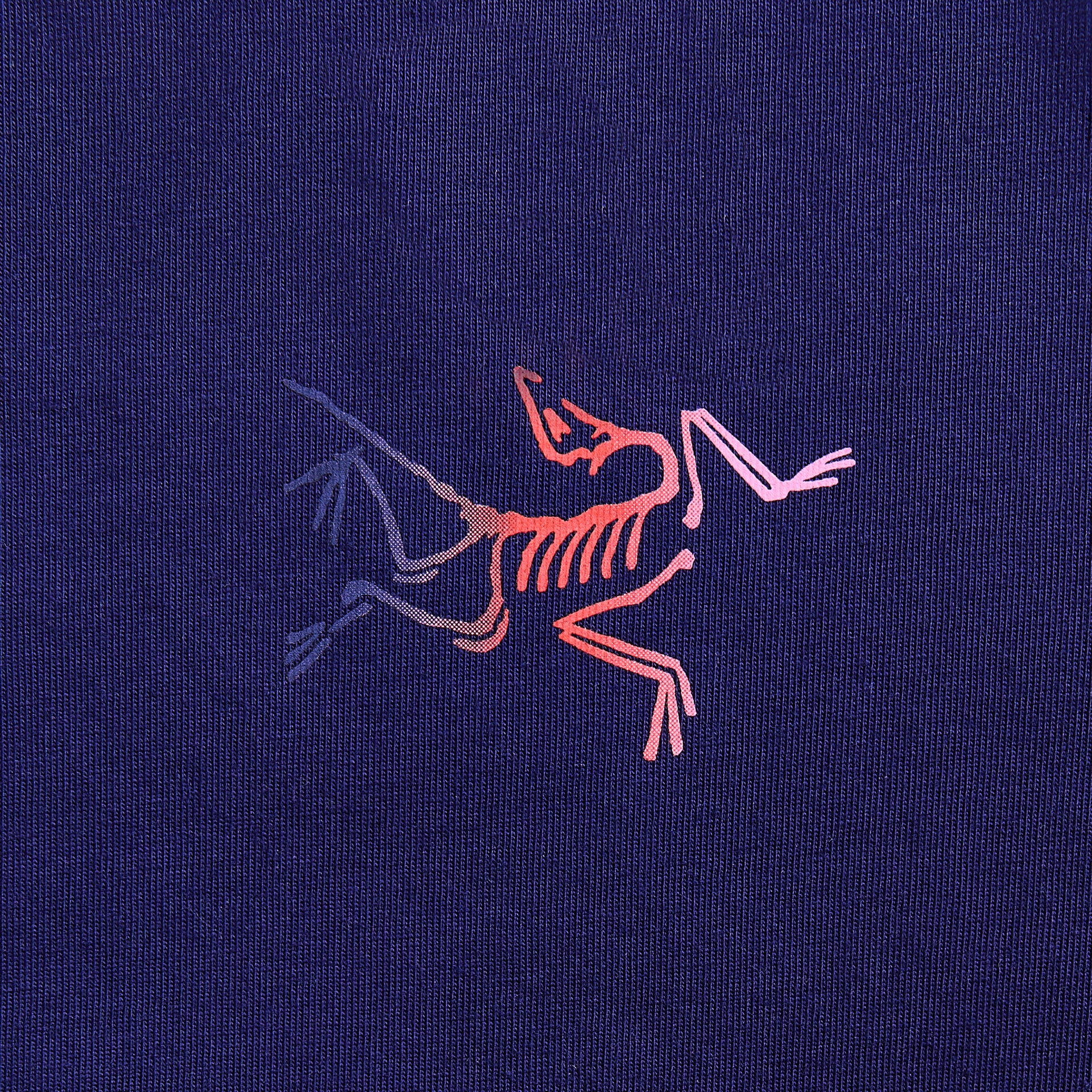 Arc'teryx Kragg Cotton Logo - Soulsonic / Dynasty