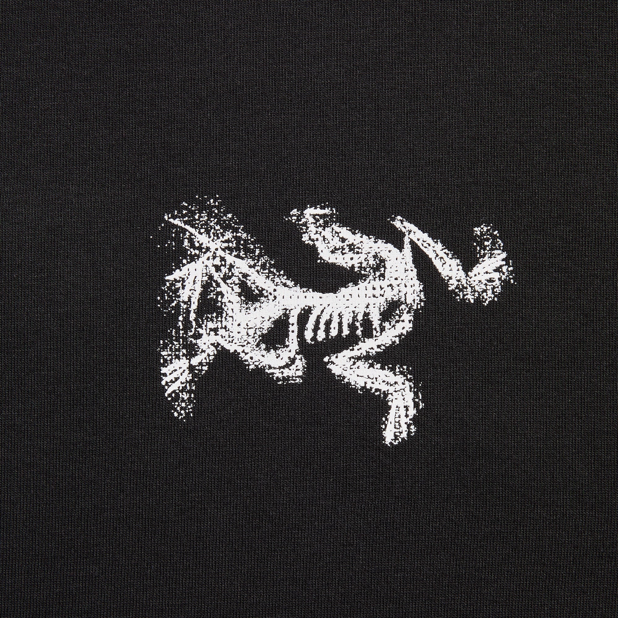 Arc'teryx Kragg SL Cotton Bird Tile - Black / Arctic Silk – Kith